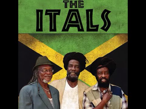 The itals - Herbs pirate lyrics video