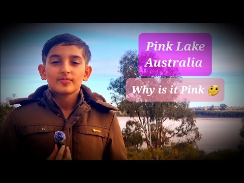 The Pink Lake Australia - do you know why it's pink?