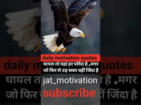 🔥घायल तो यहां हर परिंदा है।। #motivation #positivevibes #success #shortsfeed