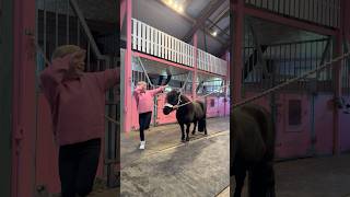 Ella and Black DANCING😍 #shortsvideo #pony #dancing #trending