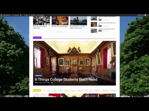 Newspaper 7 Tutorial - Introduction to Theme Panel and Page Builder (Video tour)
