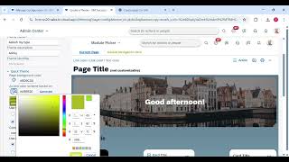 How to manage themes in SAP success fcators employee central