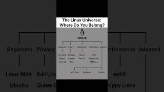 #coding #windows #psychohacker #cybersecurity #hackersmindset #crypto #hackingworkradio #computer