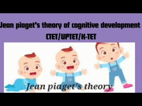 Piaget cognitive development theory in English and hindi  | CTET | UPTET| KTET