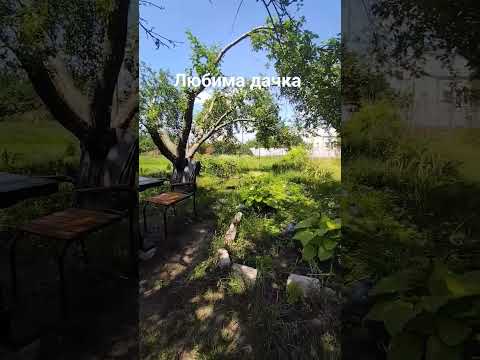 люблю Україну
