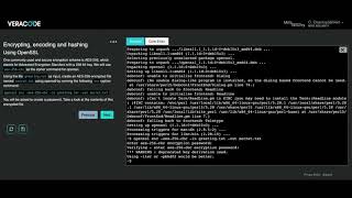 Veracode Security Labs demo