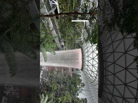 First week in Singapore #nus #travel #singapore #vlog #nusexchange #foreignexchange