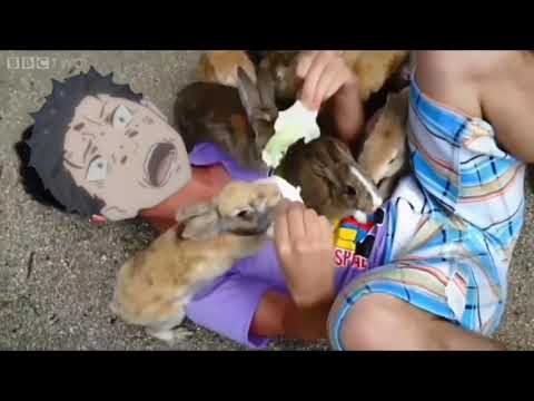 Subaru gets eaten by rabbits