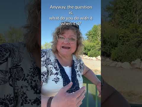 How Do You Respond with Dignity and Grace When People Are Rude or Say Terrible Things About You?