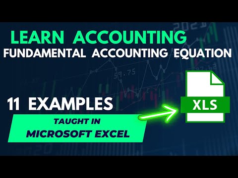 The Fundamental Accounting Equation with 11 Examples | Taught in Excel