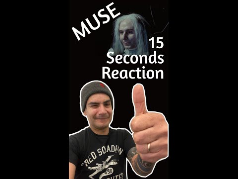 Muse - Won’t Stand Down - 15 seconds analysis