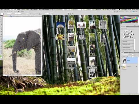 Beginners Photoshop training - Tip 2