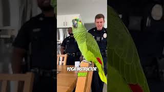 Parrot Destroys Police Officer — “From Your Wife’s Apartment!” 💀🦜😂 | Real Interrogation Footage 2025