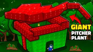 I Built a House Inside a Giant Pitcher Plant