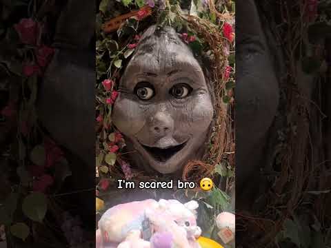 #fnaf #animotronic #rainforestcafe #shorts #scary #animalkingdom #memes