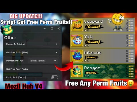 New Method Get Free Perm Fruits Script[☄️⭐GRAVITY] - Mozil Hub V4 | TRADE SCAM | STEAL FRUIT | NOKEY