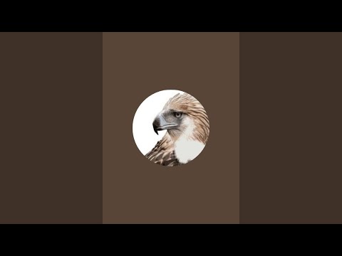 Please subscribe my channel
