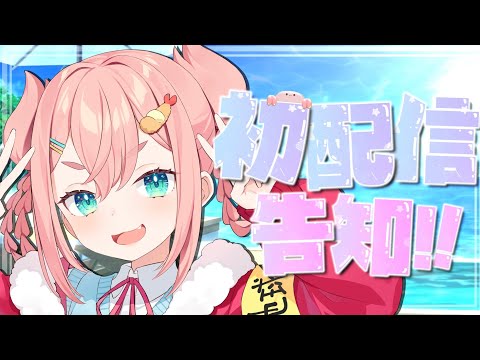 【初配信告知】初凪なのLive2Dお披露目 #新人vtuber #個人vtuber