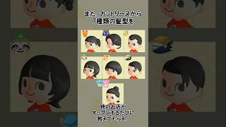 48種類の髪型を全部知りたい@ほのげ #あつ森