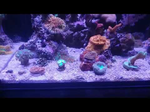 Rico's Nano Challenge 2018