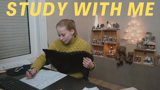 🎄2 HOURS Study With Me ☃️ Let's GOOO❄️