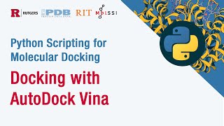 Python Scripting for Molecular Docking: Docking with AutoDock Vina