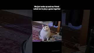 Let my brain wake up first🥱#game #funny #gamedevlife #memes #gamedev