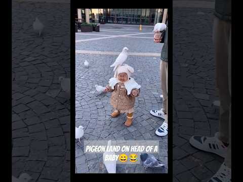 pigeon on head of a baby #mrbeast
