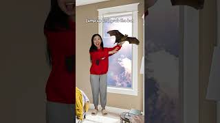 Chapter 65: How To Deal With Mosquitoes