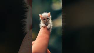 "The secret world "Of Micro Animal" #love" #kidsvideo #Cartoon  #Animation