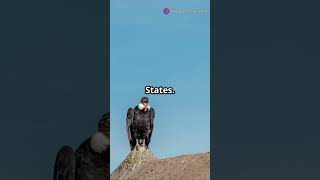 #extinctanimal #animals #dangerous #ai #facts #trending #algorithm #viralshort #youtube #adventure