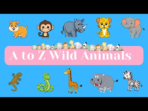 A to Z Wild Animals for Kids | Alphabet Animals | Study Time Kids