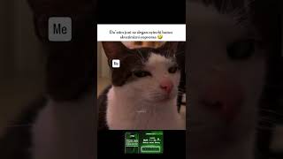 Shunaqami🤣 #pubg #pubgmobile #pubgshorts #trending #viral #rek #top #gaming
