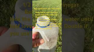 Do this mixture’s to help solve bugs on your fruit trees #bugs #fruits #organicgardening