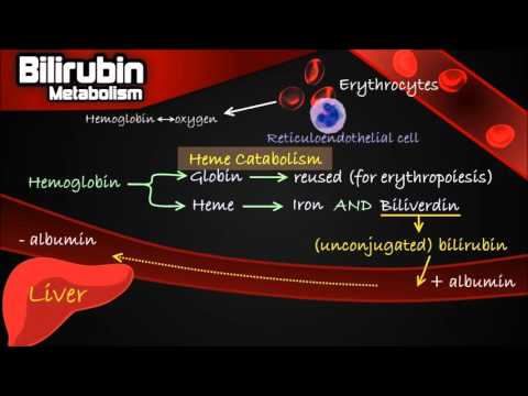 Bilirubin Metabolism - Pathway Made Simple [Erythrocytes, Conjugation, Urobilinogen etc.]