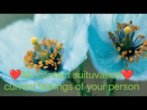 No contact suituvation#tarot#healing#energy#love#divination#pakthi#spiritual#husband#astrology#yoga 