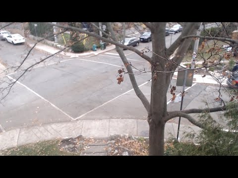 November Day