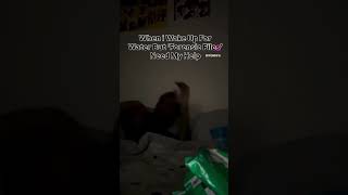 Cant sleep Until its Solved🤣🤣 #fyp #makemefamous #comedy #lmao #blowup #blowup #fy #helpmeget1ksub