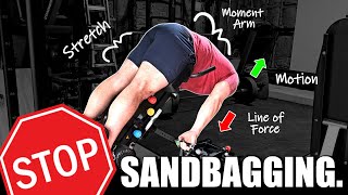 EVERYTHING You Need to Know About Getting Strong Hammies