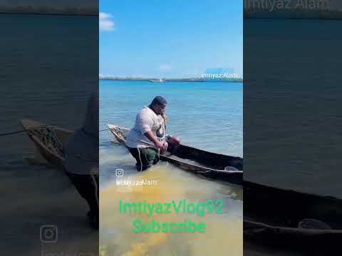 समुंद्र में नाव पलटी मारी 😂 show most watch viral funniest video|मोटे ने तो नाव ही पलटा दिया#viral