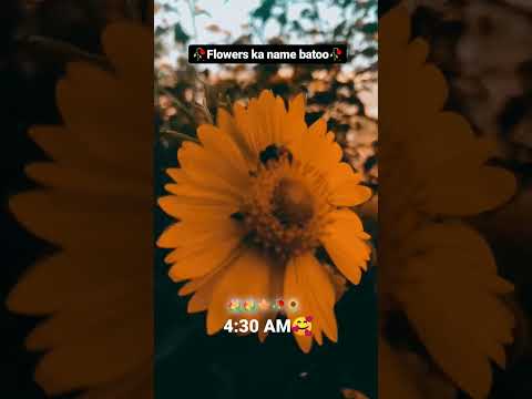 #@Amazing Hai N🥰🙏