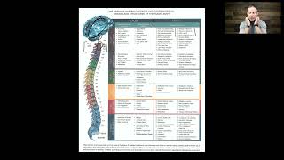Understanding Seizures: Beyond the Brain 🧠