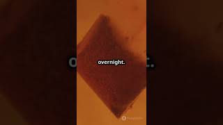 Life Hack: Quick and Easy Tips!" 🌟#LifeHacks #QuickTips #DIY #EverydaySolutions #productivityhacks