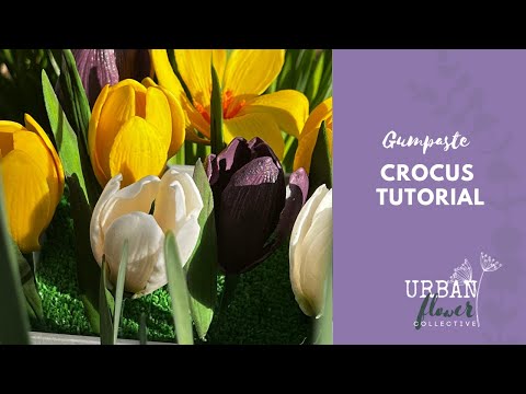 How to make a gumpaste / flower paste / sugar Crocus - a step by step tutorial