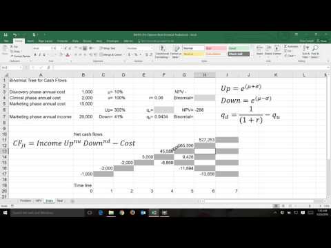BA435 BinomialRealOptionsPricing Step3