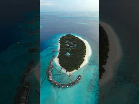 This is the Maldives! 🏝️ #maldives #maldivesbeach #islandlife #maldivestravel #dronevideo
