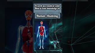 what is Required To Become a Coder #medicalcoding #medicaleducation #medicalcodingjobs #training