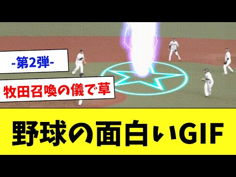 【笑ったら負け】プロ野球のおもしろGIF・動画まとめ第2弾…www