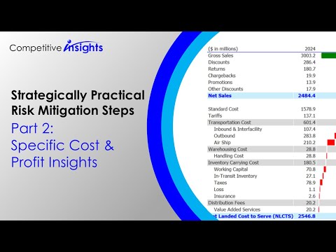 Part 2: Specific Cost & Profit Insights - Strategically Practical Risk Mitigation Steps