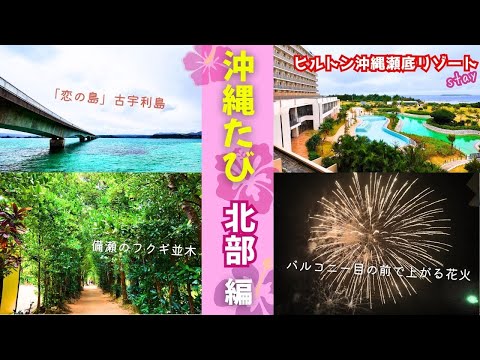【沖縄旅行🌺北部編】バルコニーで花火を独占！ヒルトン沖縄瀬底リゾートstay＆人気観光スポット巡り　古宇利島｜備瀬のフクギ並木｜ナゴパイナップルパーク｜海洋博公園｜熱帯ドリームセンター